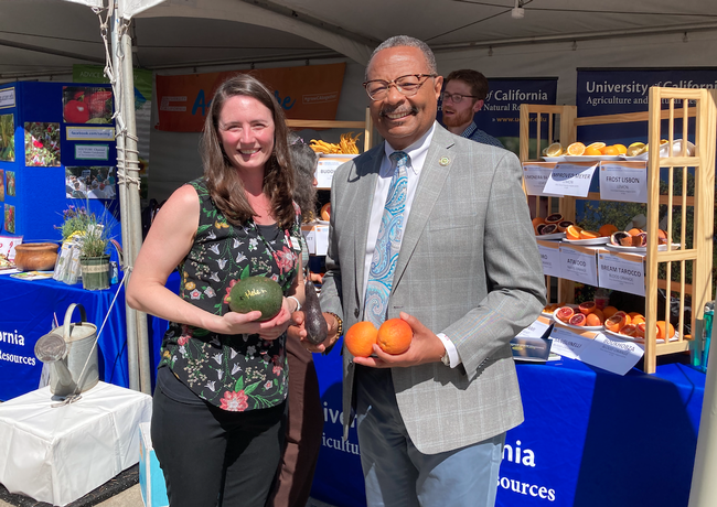 They are standing in front of the ANR citrus display. Anne is holding a large avocado and the assemblyman is holding a dark  oblong avocado and two oranges.