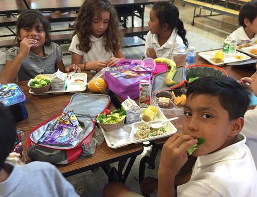 Students eat school lunch