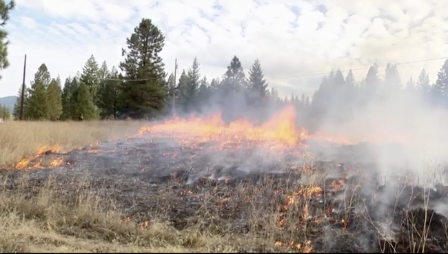 Flames burn dry grass on rangeland.
