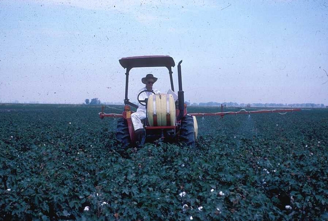 Bill Weir drives a spray rig through cotton. Photo courtesy of Scott Stoddard
