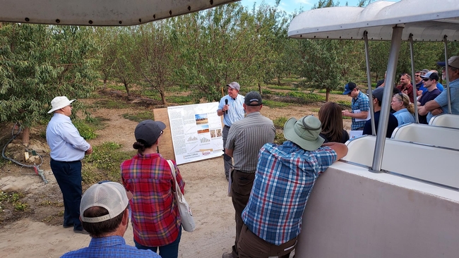 People stand in an almond orchard listening to Brent Holtz, who is holding a mic.