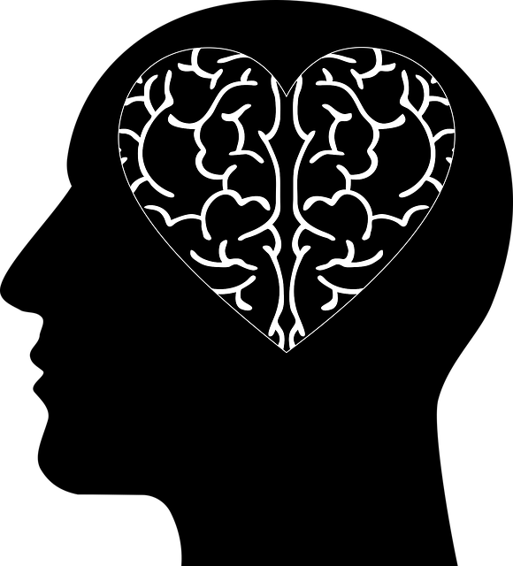 Image of a head with a heart shaped brain.