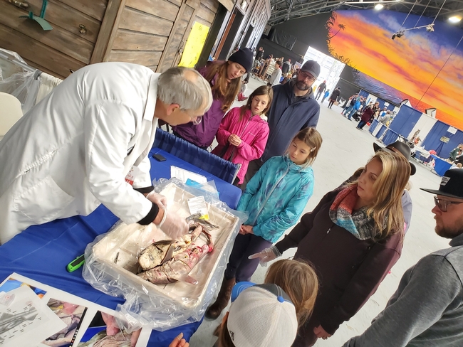 Children and parents gather around a man in a white coat gesturing to a fish that has been sliced open.