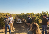 Representatives of Gather demonstrate how the Gather Rover can transport harvested grapes in a vineyard at The VINE Connect Field Day in November.