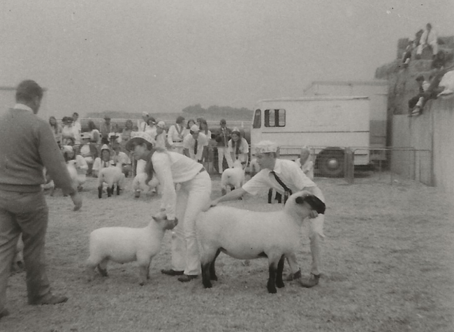 In black and white photo, Harper, on right wearing a 4-H uniform, shows a black-faced Hampshire ewe beside a long-haired girl showing a smaller, all-white lamb. About a dozen 4-Hers and their sheep are in the background.