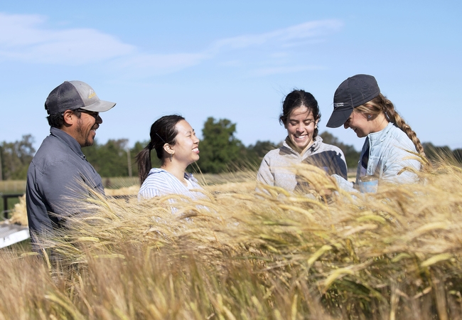 A group of people share a laugh during a Small Grains and Alfalfa Field Day