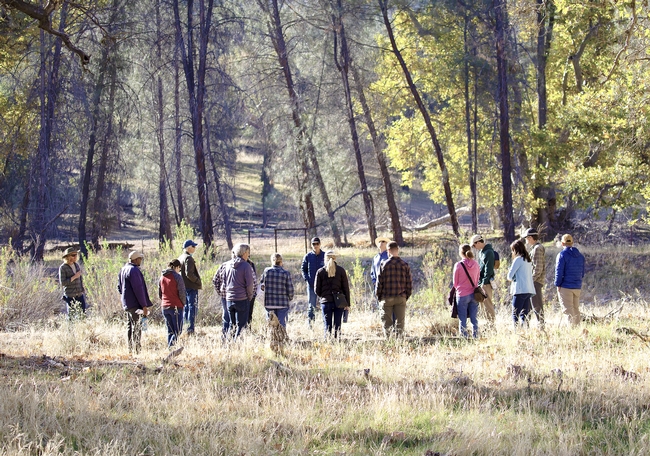 A group of people stand in a circle amid oak trees