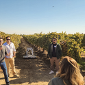 Representatives of Gather demonstrate how the Gather Rover can transport harvested grapes in a vineyard at The VINE Connect Field Day in November.