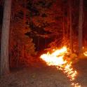 firefuel-burn300