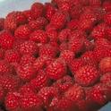 Production costs for raspberries and other crops are available.