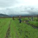 Mark Battany installs a meteorological tower in a new San Luis Obispo County vineyard.