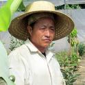 Pang Eng Chang is small farmer from the Fresno area who participated in the tour last year. He grows jujube, guavas, papaya and citrus on 15 acres of orchard and greenhouses.