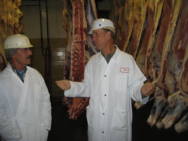 UCCE farm advisor Dan Drake (right) and processing plant personnel examine carcasses of UC steers.