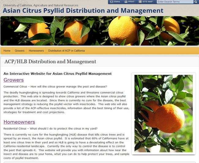 UC's new website for Asian citrus psyllid management