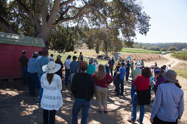 At an organic farm near Watsonville, growers and food safety professionals discuss designing practices that manage for food safety and environmental quality.