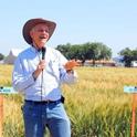 Jorge Dubcovsky speaks at the small grains field day.