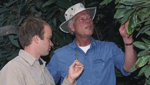 UCCE Ventura County farm advisor Ben Faber with a grower monitoring avocado leaves for pests.