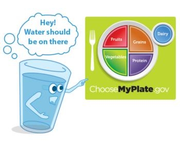 NPI urges the U.S. Department of Agriculture to add a symbol for water to its MyPlate graphic.