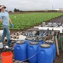 Laura Murphy, UC Cooperative Extension research assistant in Monterey County, manages the treatment manifold for the “nitrate in water” field trial in head lettuce.