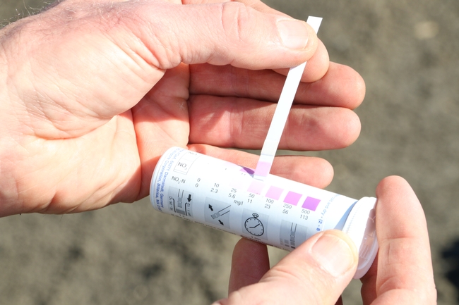 Growers can quickly assess soil nitrogen levels in their fields using quick nitrate test strips.