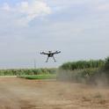 Blue River flies a drone over sorghum research plots at the Kearney REC to collect data on plant height, leaf area and biomass.