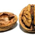 The UC Agricultural Issues Center has released a new cost study on walnuts.