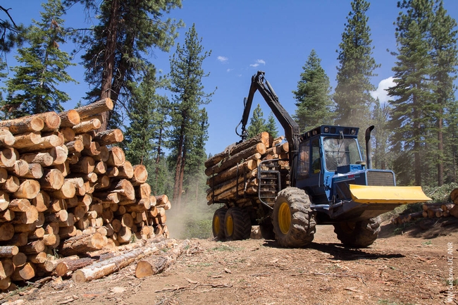 Although agriculture accounts for 79% of working landscape sales income, it is important to note that other working landscape segments are sizeable. Forestry provides more than 86,000 jobs and $23.1 billion in sales income to California.