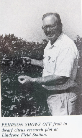 In a black and white newspaper photo, John Pehrson is shown smiling while standing beside a citrus tree. Text reads: Pehrson shows off fruit in dwarf citrus research plot at Lindcove Field Station.