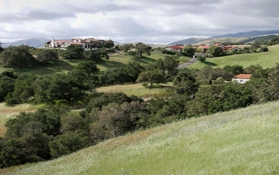 oaklands with homes nearby