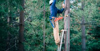 Good Jobs Challenge awards $21.5 million for forestry, fire-safety jobs training