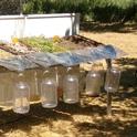 Rainfall simulator demonstrates benefits of cover crop