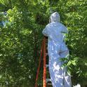 Removing the hive - Photo credit: Jim Farrar