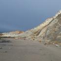 Beach lizard near Schooner Gulch