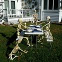 Skeleton picnic (Photo courtesy of Charles Powers)