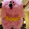 Fifi the pink poodle Oct 4 22