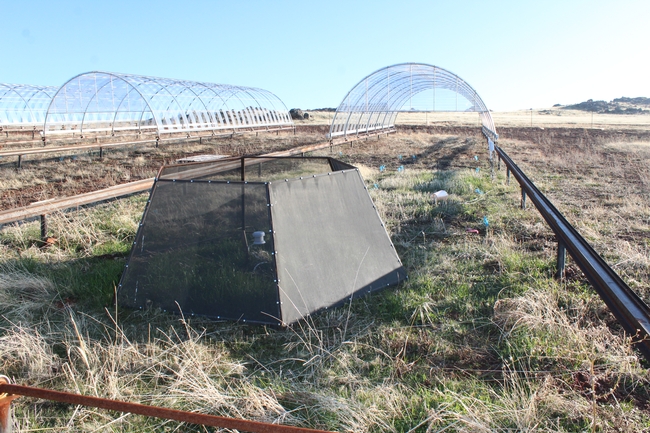 Hoop enclosures to restrict rainfall and simulate drought or changing climate conditions.