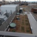 Roof top garden at the SPUR Center, Denver.