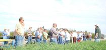 Alfalfa Field Day for Alfalfa & Forage News Blog