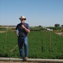 Dan Putnam discusses the importance of variety selection at an alfalfa field day.