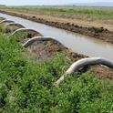 Siphon tubes delivering water to an alfalfa field.