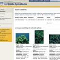 Images of herbicide damage available on new IPM site.