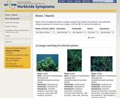 Images of herbicide damage available on new IPM site.