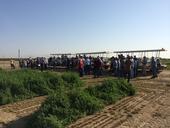 Alfalfa Field Day Variety Trial Presentation