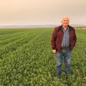 Duane Chamberlain, farmer from Yolo County, California, takes pride in farming quite difficult, class IV heavy clay soils, producing high yields and quality with alfalfa and grass hays destined for the horse and dairy markets. He is a big believer in early fall planting on modified shallow beds for maximizing yields on heavy soils, as in this productive new field in Woodland, CA (November 8, 2018).