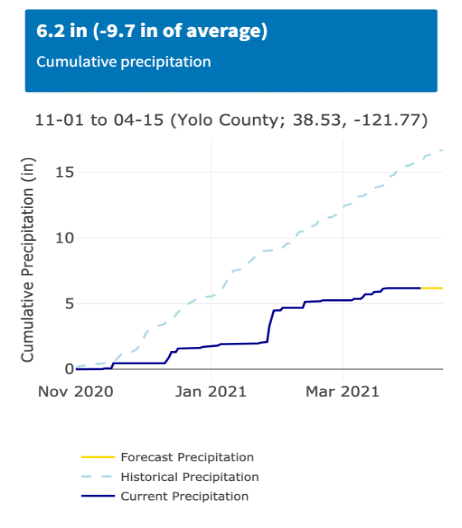 Figure 1 Cumulative rainfall from November 1st 2020 to April 6, 2021 (from the UC Davis Small Grains California Weather Web-Tool). Historical averages are typically around 16.6” for this time of the year. This year the area near Davis, CA has received 6.2” (37% of the annual average).