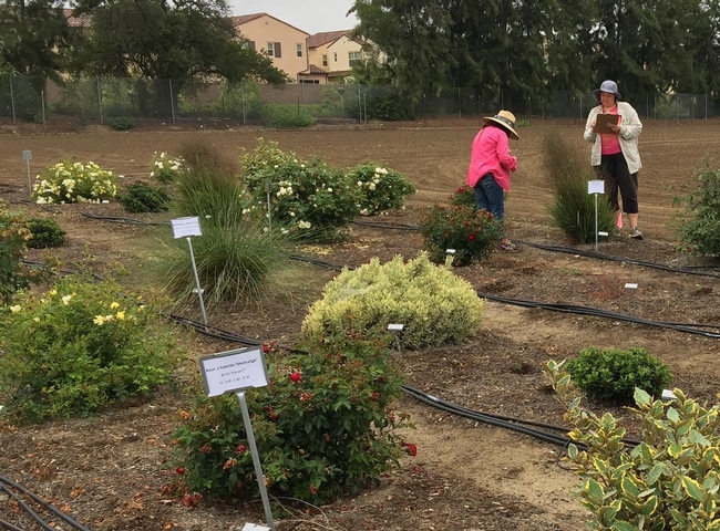 Participants need to help evaluate new plant varieties.