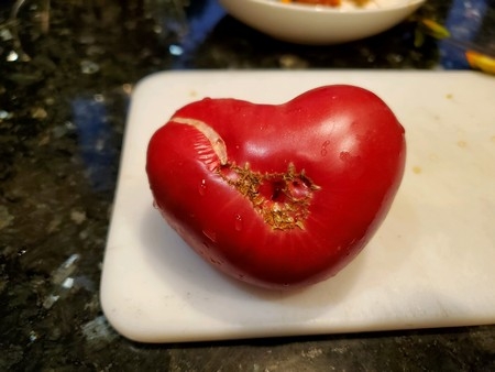 Photo of weird looking tomato