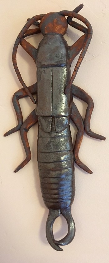 Photo of a ceramic sculpture of an earwig
