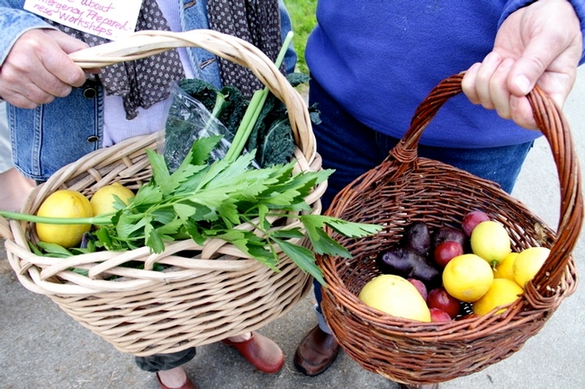 People holding baskets of produce