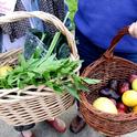 Baskets of produce. (photo courtesy of Christina Diaz)